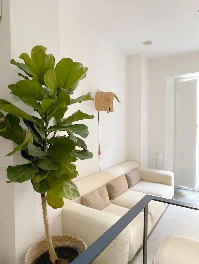 Alameda Modern Art House With Outdoor Jacuzzi In Roof Villa Seville 0*,